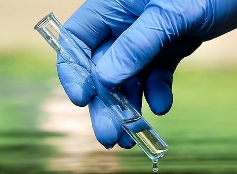 Silal’s New Project Offers Free Soil Analysis and Better Yield