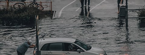 Cannot Tackle Current Crises Like Pandemics Without Addressing Nature