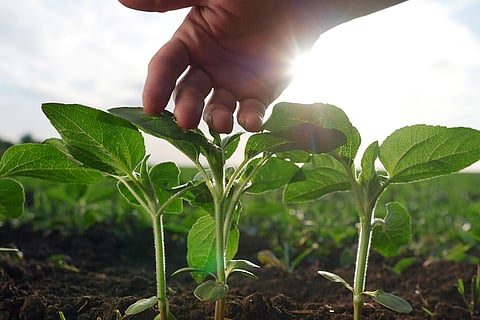 EY and IIF Survey Shows Climate Change Now a Top Concern for Banks