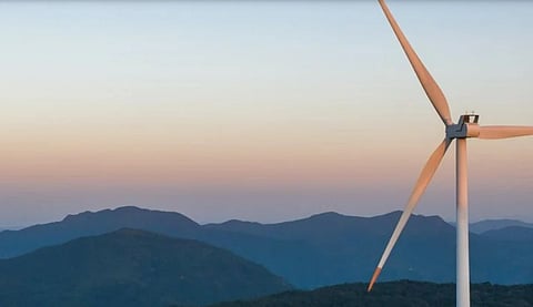 Business Leaders do not Trust each others’ Climate Claims: Research