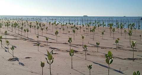 Boosting the Capacity of Least Developed Countries to Implement National Adaptation Plans