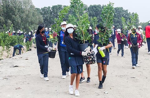 Year of Sustainability Initiative by Almoe Group and Brother MEA