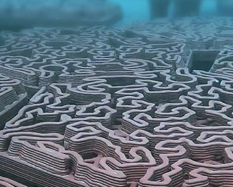 ADQ, EAD and Archireef Successfully Deploy Marine Biodiversity Restoration Solution