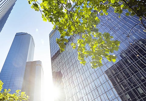 JLL Appoints Alida Saleh as Head of Sustainability for Middle East & Africa