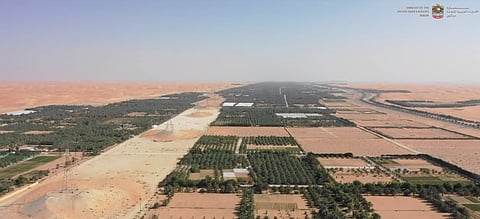 MOCCAE Issues Ministerial Decree on Regulation of Hydrofluorocarbons in UAE