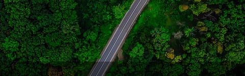 UAE Consumer Focus on Sustainable Packaging Increasing, Reveals Survey