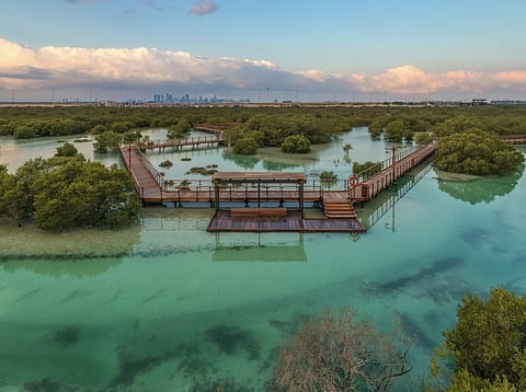 Abu Dhabi Sustainability Group Marks 15 Years of Leading Climate Action