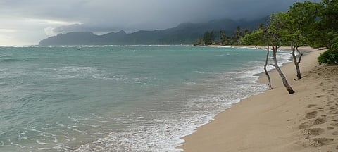 UNEP Marine Sand Watch Reveals Massive Extraction in Oceans