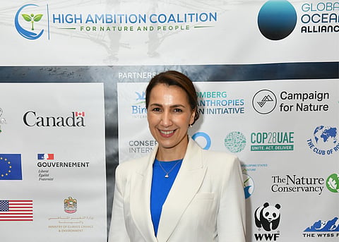 UAE Endorses ‘Mangrove Breakthrough’ and announces Mangroves Ministerial at COP28