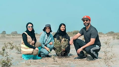 Ports, Customs and Free Zone Plant 400 Mangrove Trees in Jebel Ali to Counter Carbon Emissions