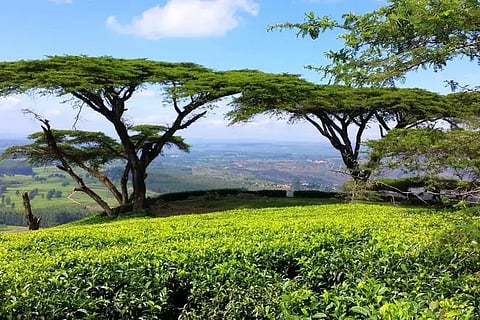 Upscaling and Risk-layering for Climate Resilience in Malawi