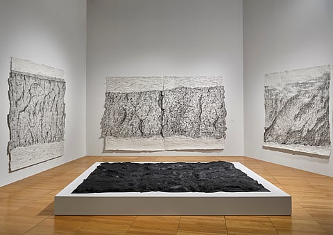 NYUAD Art Gallery's Fall Exhibition Now Open as the Nation Prepares to Host COP28