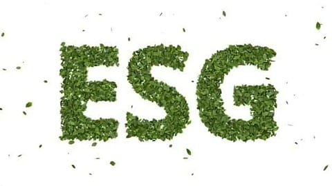 Survey Reveals UAE Businesses Face Growing Demand for ESG Action