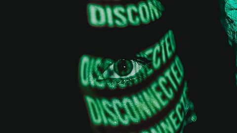 Insight: Greenwashing Matters