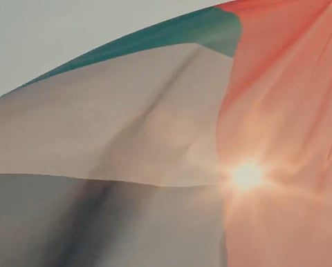 UAE Flag Day Inspires Greater Effort and Dedication for UAE's Sustainable Future, Says Minister