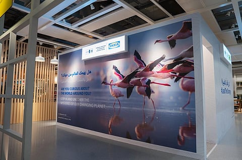 Emirates Nature-WWF Invites Community to Experience ‘A Day in the Life of Climate Change’ with Al-Futtaim IKEA
