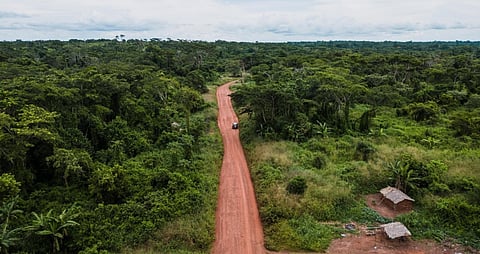 UN Body Agrees Vital Carbon Crediting Guidance Ahead of COP28