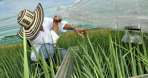 COP28 Event Highlights Urgent Need to Accelerate Implementation of National Adaptation Plans
