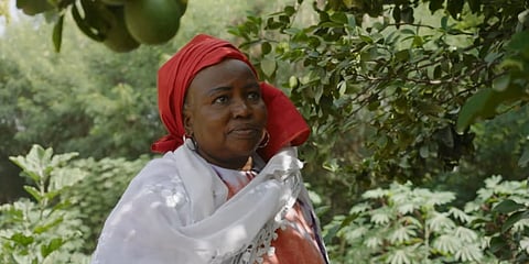 Farmers in Senegal Harvest Benefits of Masdar Wind Farm