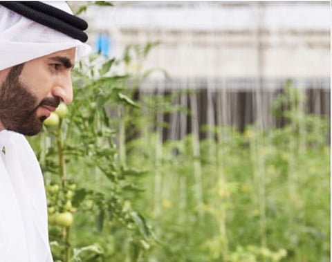 Abu Dhabi Agriculture and Food Safety Authority Obtains Global Governance Accreditation