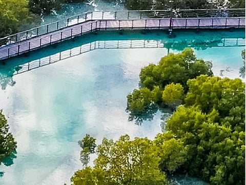 H.H. Hamdan bin Zayed Issues Resolution on Reporting Environmental Data