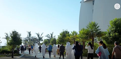 Environment Agency – Abu Dhabi Releases 214 Rehabilitated Turtles into the Wild