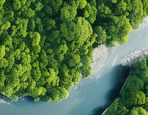 EAD and Abu Dhabi Department of Economic Development Styrofoam Ban Starts