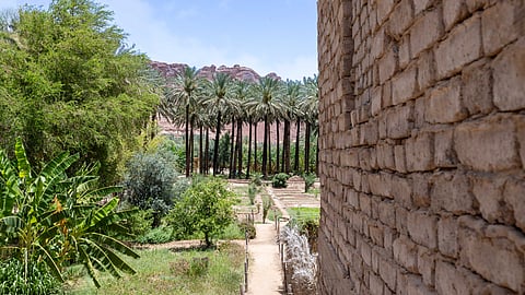 Royal Commission for Alula Affirms Commitment to Sustainability and Ambition To Drive Positive Change