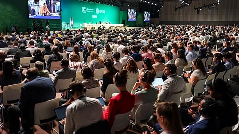 UAE Universities Climate Network to Host Climate Change Workshops at COP29 in Baku