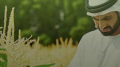 Sheikh Mansour bin Zayed Award for Agricultural Excellence to Participate in Sheikh Zayed Festival in Al Wathba