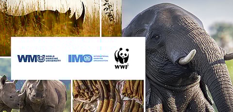 New e-Learning Course Tackles Illegal Wildlife Trade