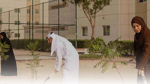 Driving Sustainability and Food Security With MOCCAE