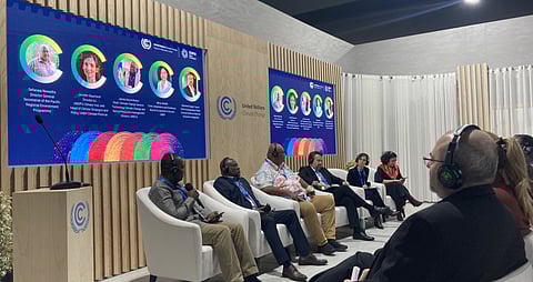 COP29 Reaffirms Regional Collaboration Key to Implementing the Paris Agreement Effectively