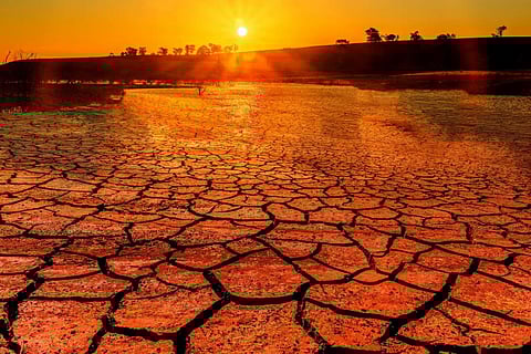 Climate Change Impacts Grip Globe in 2024