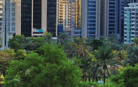 EAD Issues Regulations on Environmental Violations to Ensure Compliance Across Different Sectors