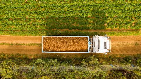 University of Sharjah and IBM Launch My FarmWell Mobile App
