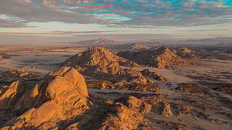 Red Sea Global Conducts Largest Ever Saudi Arabian Biodiversity Study