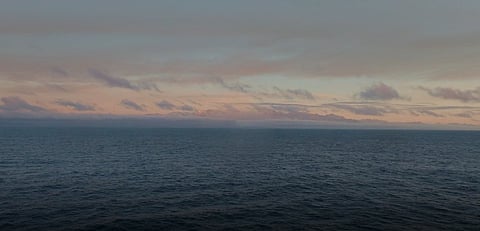 Gigablue’s Algae-Based Carbon Removal Sparks Hype and Concern