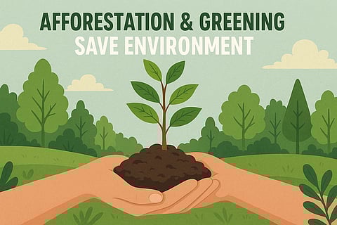 Forests, Greening, and Afforestation: How Trees Help Avert Disasters and Stabilise Our Climate