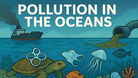 Pollution in the Oceans: Causes, Impacts on Marine Life and Habitats, and How We Stop it
