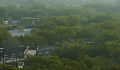 Abu Dhabi Unveils World-First AI Environment Portal, Setting a New Global Benchmark