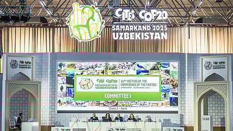 World Wildlife Conference in Samarkand: Big Decisions Ahead for Global Species Protection