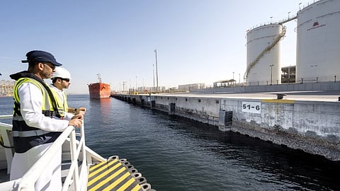 DP World Installs First 1,000 Living Seawalls Panels at Jebel Ali Port