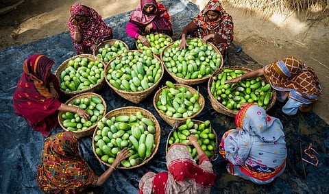 WFP to Focus on Feeding 110 Million Most Vulnerable in 2026 as Global Hunger Crisis Deepens