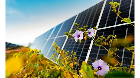 Lightsource bp, ground-mounted solar