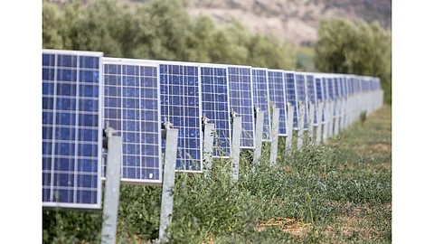 Ground Mounted Solar, Agrisolar, Shutterstock