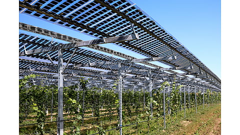 Bifacial