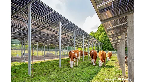 SUNfarming, Agrivoltaics