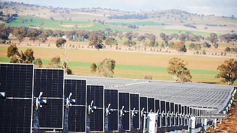nextracker_solartracker_market_survey