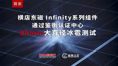 DMEGC Solar modules pass CGC hail test - TaiyangNews China Solar PV News Snippets